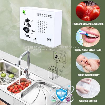 Wall Mounted Ozone Water Generator for Washing Clothes, Bathroom, Hotel, Kitchen, Food, Fruit Vegetable Ozone Water Washing Steril