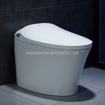 Smart Toilet K19036 intelligent toilet foot induction flushing convenient for men