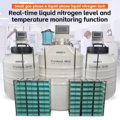 Guatemala Vapor phase liquid nitrogen tank KGSQ nitrogen liquid container