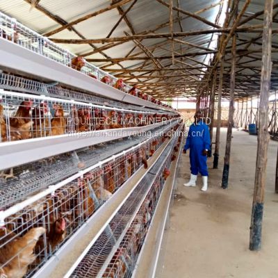 Battery chicken cage for layer poultry farming