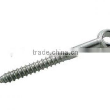 SS/stainless steel lag screw