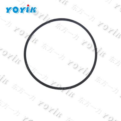 China manufacturer Guide ring DTYD100TY006 for power generation