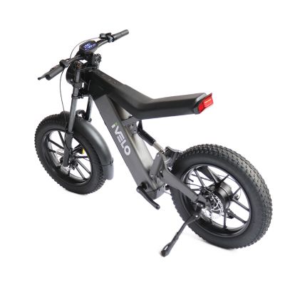 iVelo New Design 1000W 13Ah Fast Electric Dirt Bike Fat Tire Off Road E Bicycle Mountain City Road Bicycle Ebike