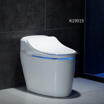 smart toilet K19019 simple model semi intelligent toilet