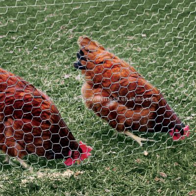 Chicken Wire hexagonal wire mesh chicken wire netting wire netting poultry fence poultry mesh