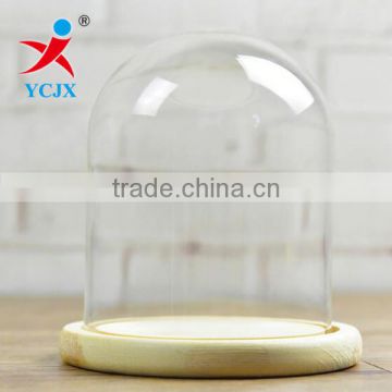 Small Size Popular Borosilicate Glass Domes with Natural Wood Base