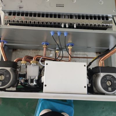 Golden Supplier Professional Manufacturer Wall Hung Gas Water Heater Boiler