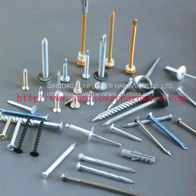 various kinds of nails
