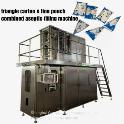 Triangle carton & fino pouch aseptic filling and packing machine