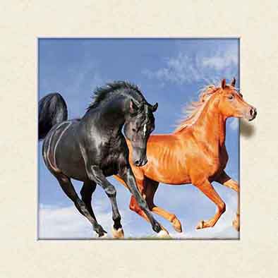 5D Animal Picture Horse 3D 5D Lenticular Picture 3D Lenticular Posters Customized
