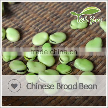 Natural plant good quality broad bean