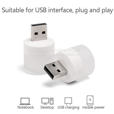 USB mini light