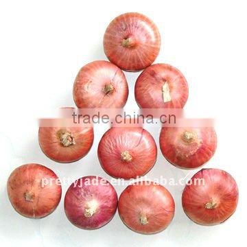 Low price chinese Fresh Red Onion