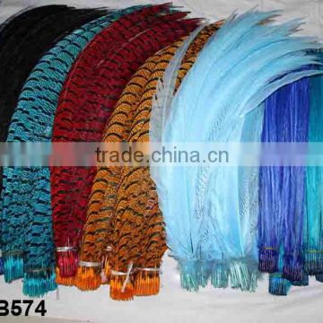 Dyed colors Long Pheasant tail feathers LZBBB574