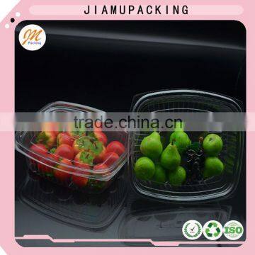 High quality plastic disposable fruit packaging container for sale