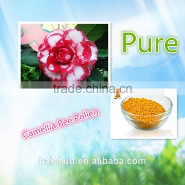 Touchhealthy supply Pure Bee Pollen/Cell wall broken Camellia Sinensis Bee Pollen powder pricePollen