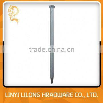 Galvanized Concrete Nails Factory