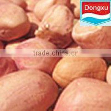 peanuts kernel in china