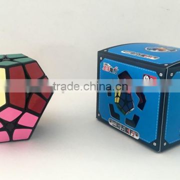 ShengShou 2*2 Megaminx cube