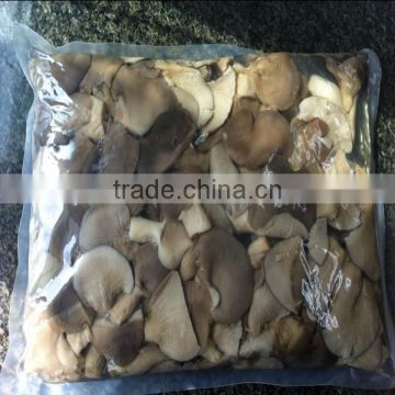vacuum packed oyster mushrooms kinds of oyster mushrooms fresh oyster mushroom