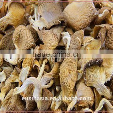 dry shimeji mushroom whole