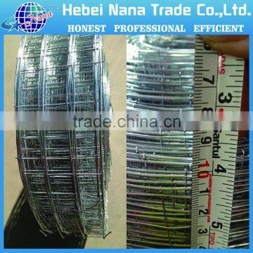 electroplate galvanized welded wire mesh factory