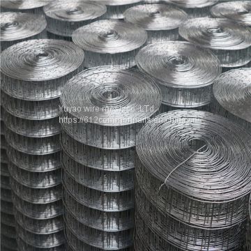 1/2 Inch Galvanized Welded Wire Mesh/pvc Coated Welded Wire Mesh/weled Wire Mesh Fence
