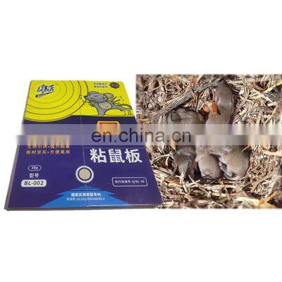 Factory Outlet in Farm Glutinous Rat for Harmless Mouse Glue Trap Paper Board