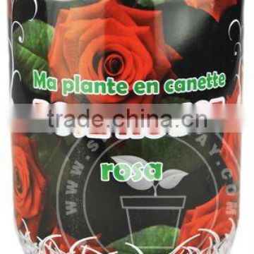 Rose seeds in can