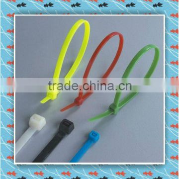 2012 New Plastic security cable tie with label