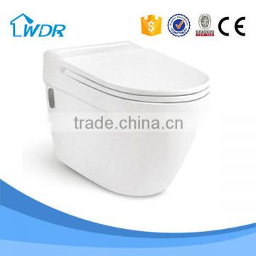 China wall hung toilet wc price bathroom designs