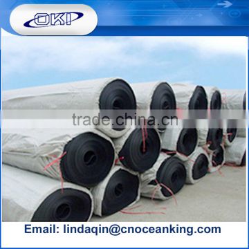 HDPE Material and Geomembrane Type Plastic Sheets