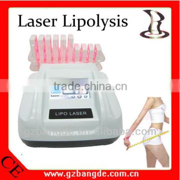 2013 New Arrival! Laser Lipolysis Slimming Machine for Weight Loss Beauty Machine BD-BZ013