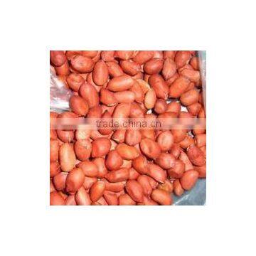 red peanuts kernels