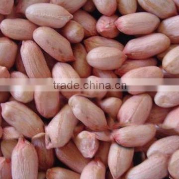 Best Price New Crop Raw Peanut