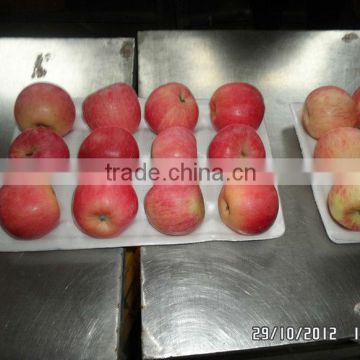2012 Yantai fuji apple
