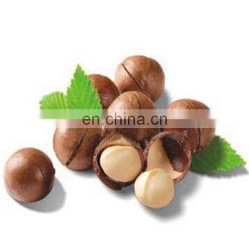 China manufacturer walnut macadamia nut cracker skin peeling machine