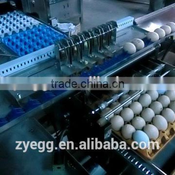 Small Manufacturing Egg Processing Equipment for sale