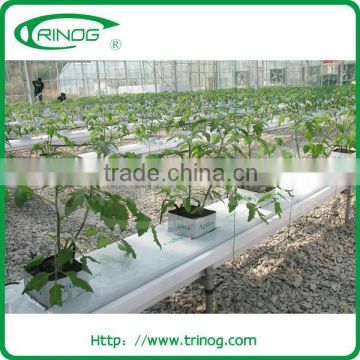 Agricultural rock wool for hydroponics growth system