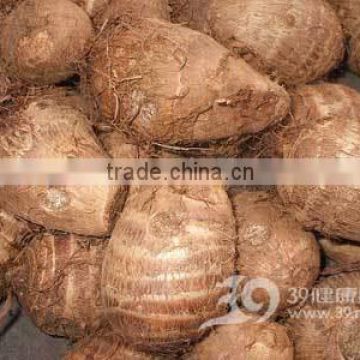 2015 New Arrival China Fresh Taro with Low Price High Quality