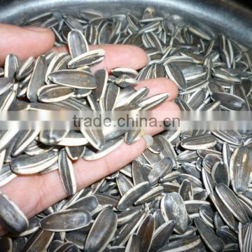 Best Quality China Sunflower Seeds