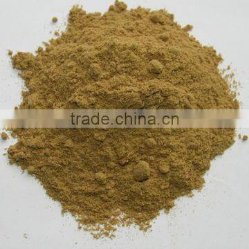 Best Price Green Cardamom Powder