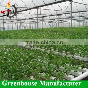 Desert and semi-arid greenhouse for tomato lettuce strawberry