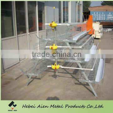 layer chicken battery cage hot selling in Africa
