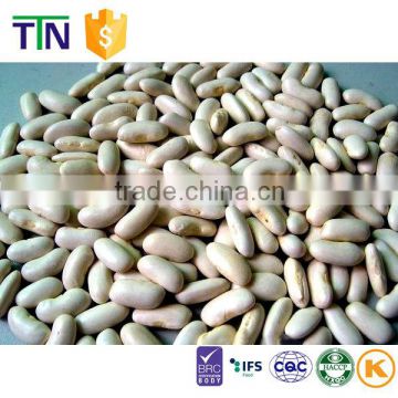 TTN Chinese kidney bean price white kidney beans