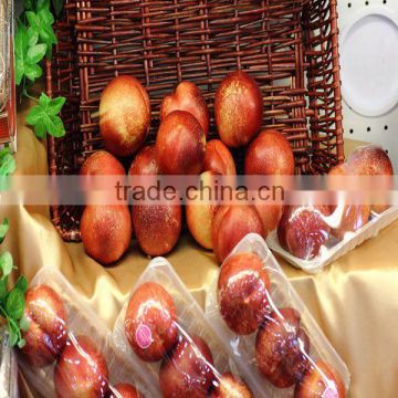 plastic wrap for food wrapping pvc cling film manufacturer