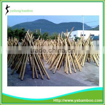 Construction Grade Bamboo Poles