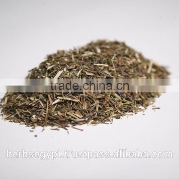 Dried Spearmint stems natural herbs and spices from Egypt