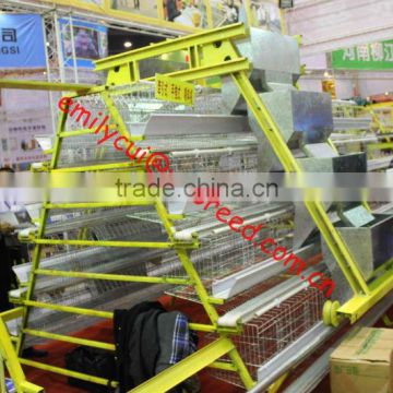 High quality chicken cage for poultry farm