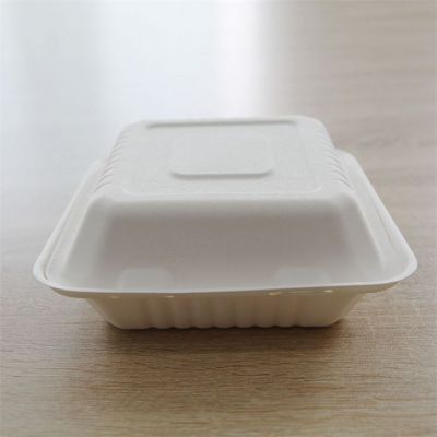 White take-away disposable bagasse food containers